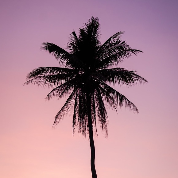 Meet your Posher, Yuvraj - Picture 1 of 1